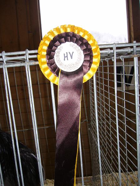 Kreisschau Coesfeld 2008 028.jpg - Schauimpressionen der Kreisschau Coesfeld 2008